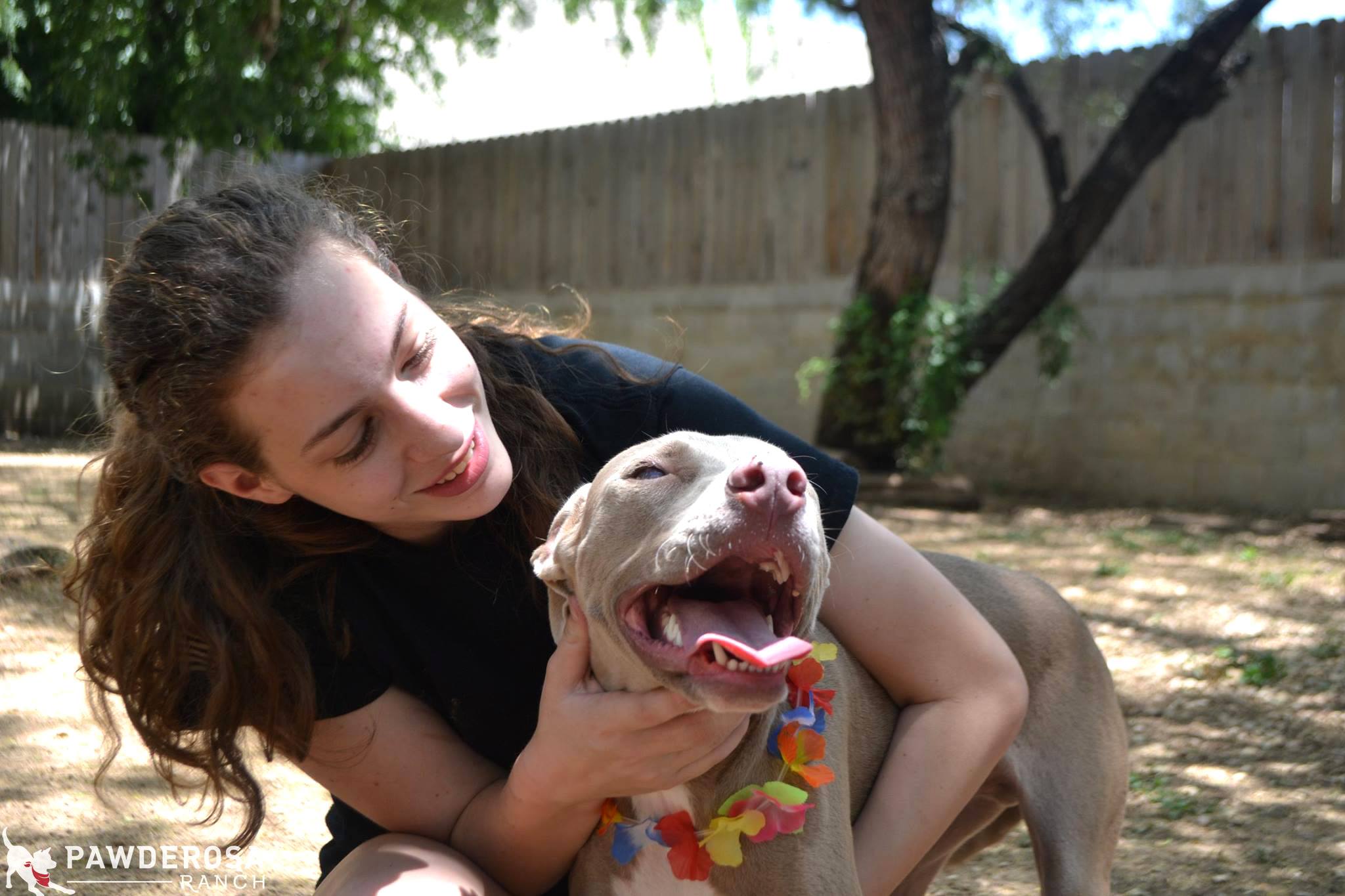 San Antonio Dog Kennel Pawderosa Ranch