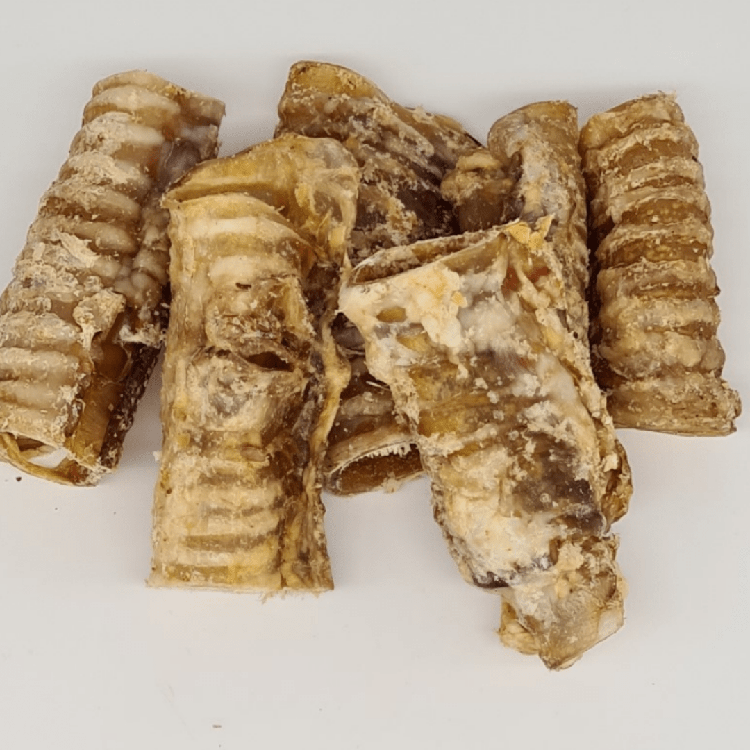 Are Cow Trachea Safe For Dogs