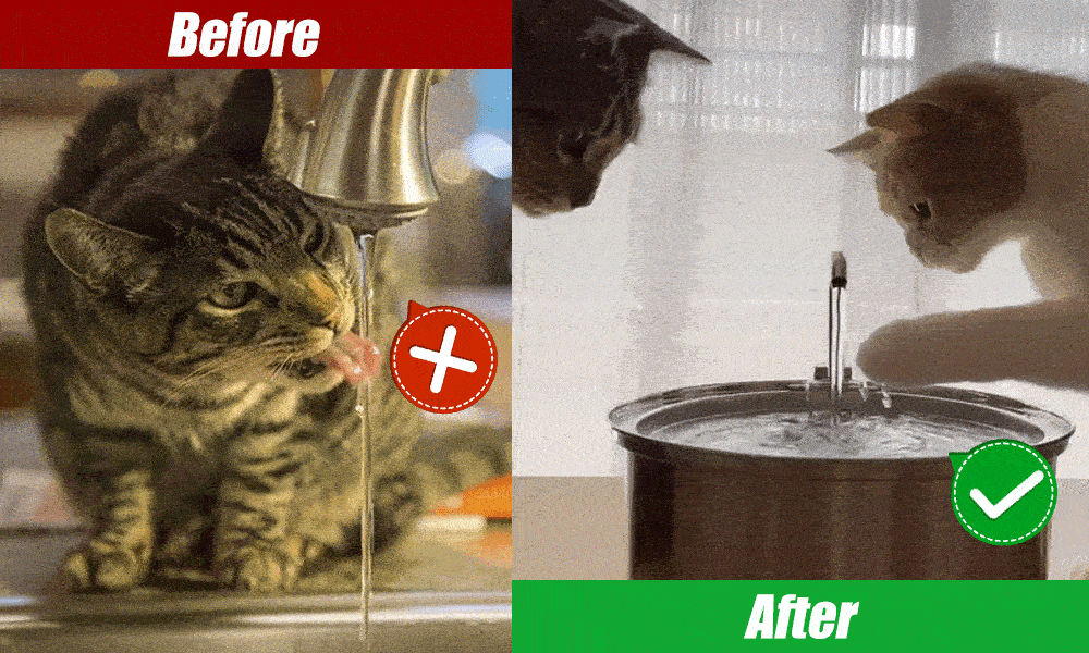 MeowJoy Water Fountain Pawfect Way