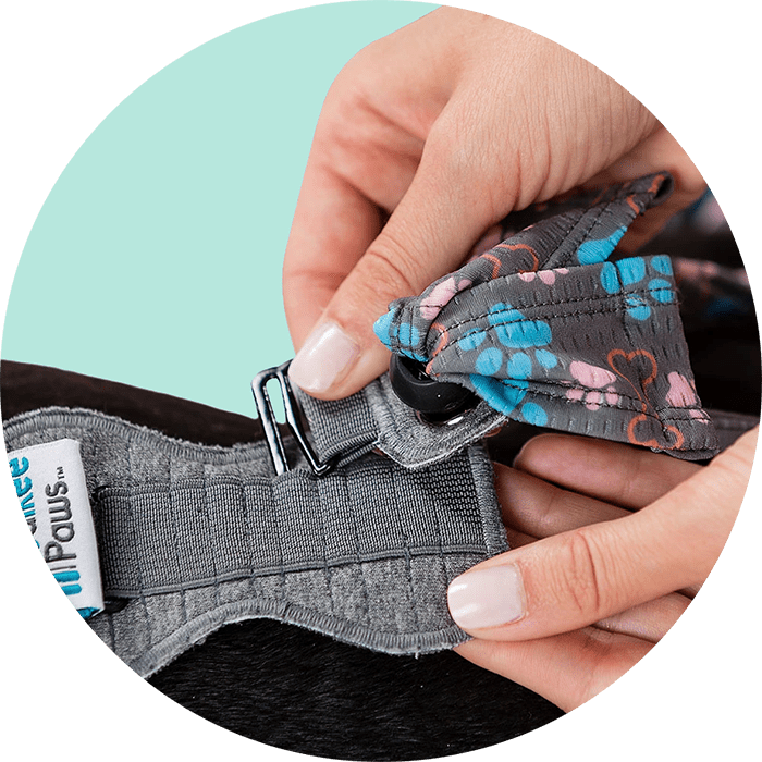 Walkee Paws Indoor Nonslip Socks PawFlex Paw Bandages for Dogs & Pets