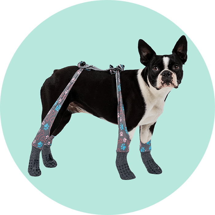 Walkee Paws Indoor Nonslip Socks PawFlex Paw Bandages for Dogs & Pets