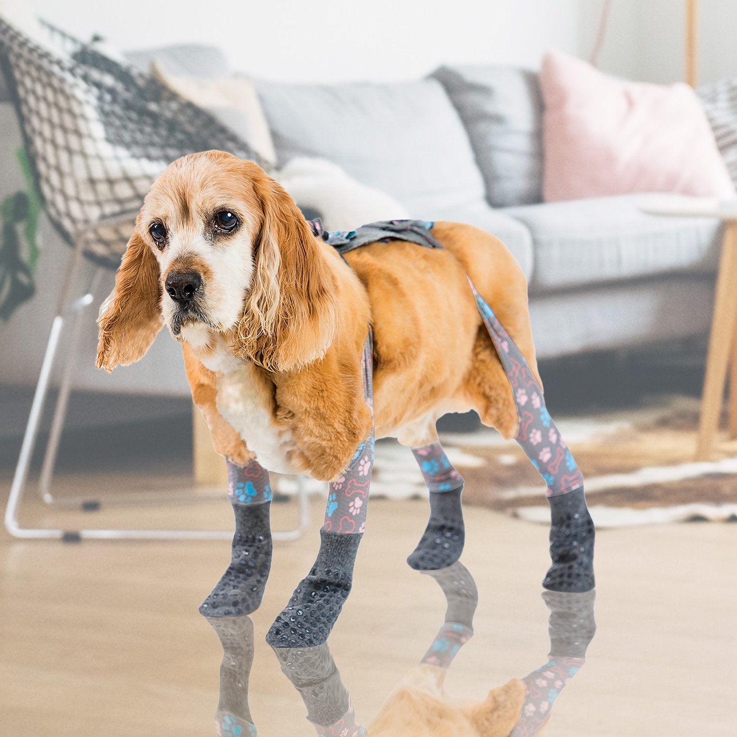 Walkee Paws Indoor Nonslip Socks PawFlex Paw Bandages for Dogs & Pets