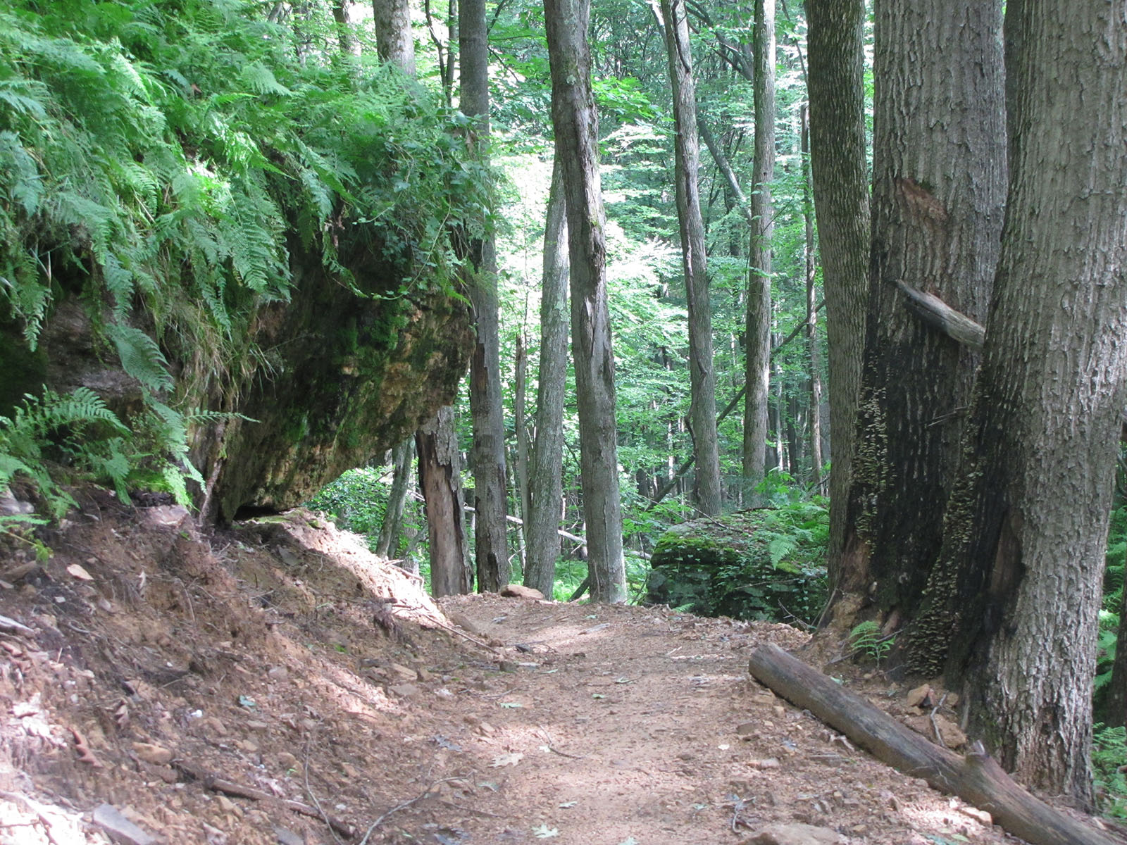 The Trails at Jakes Rocks Pennsylvania Wilds