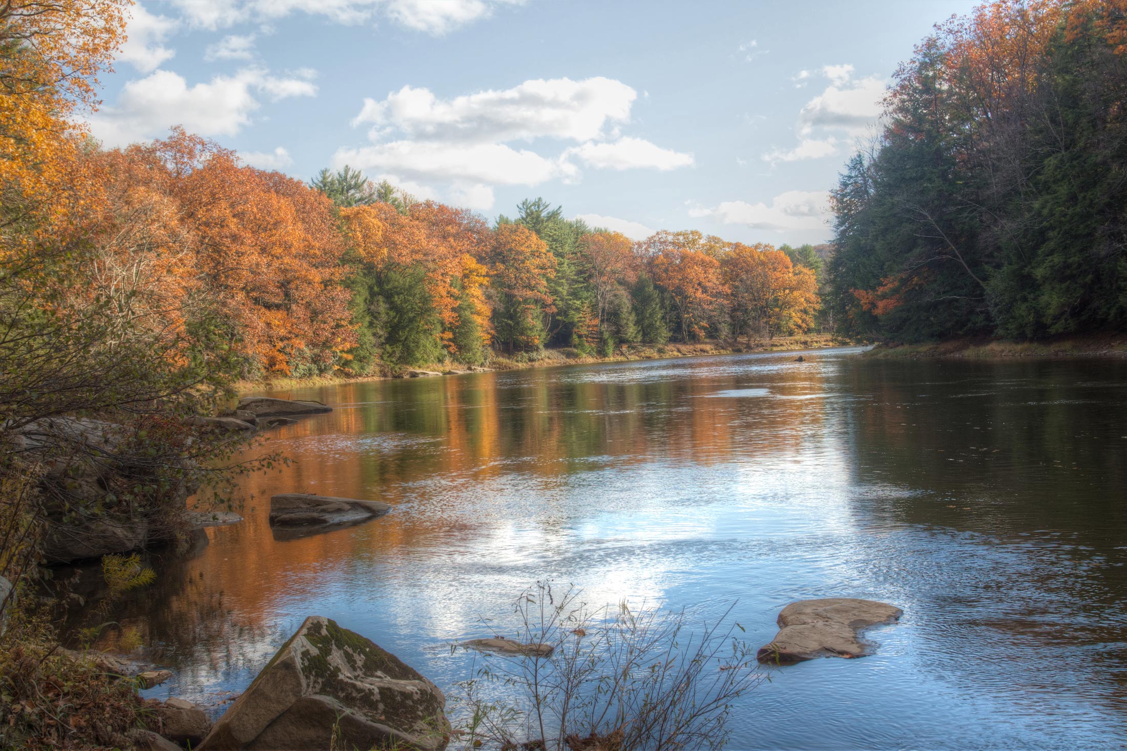 PA Wilds in the News Quarter 1 2019 Pennsylvania Wilds