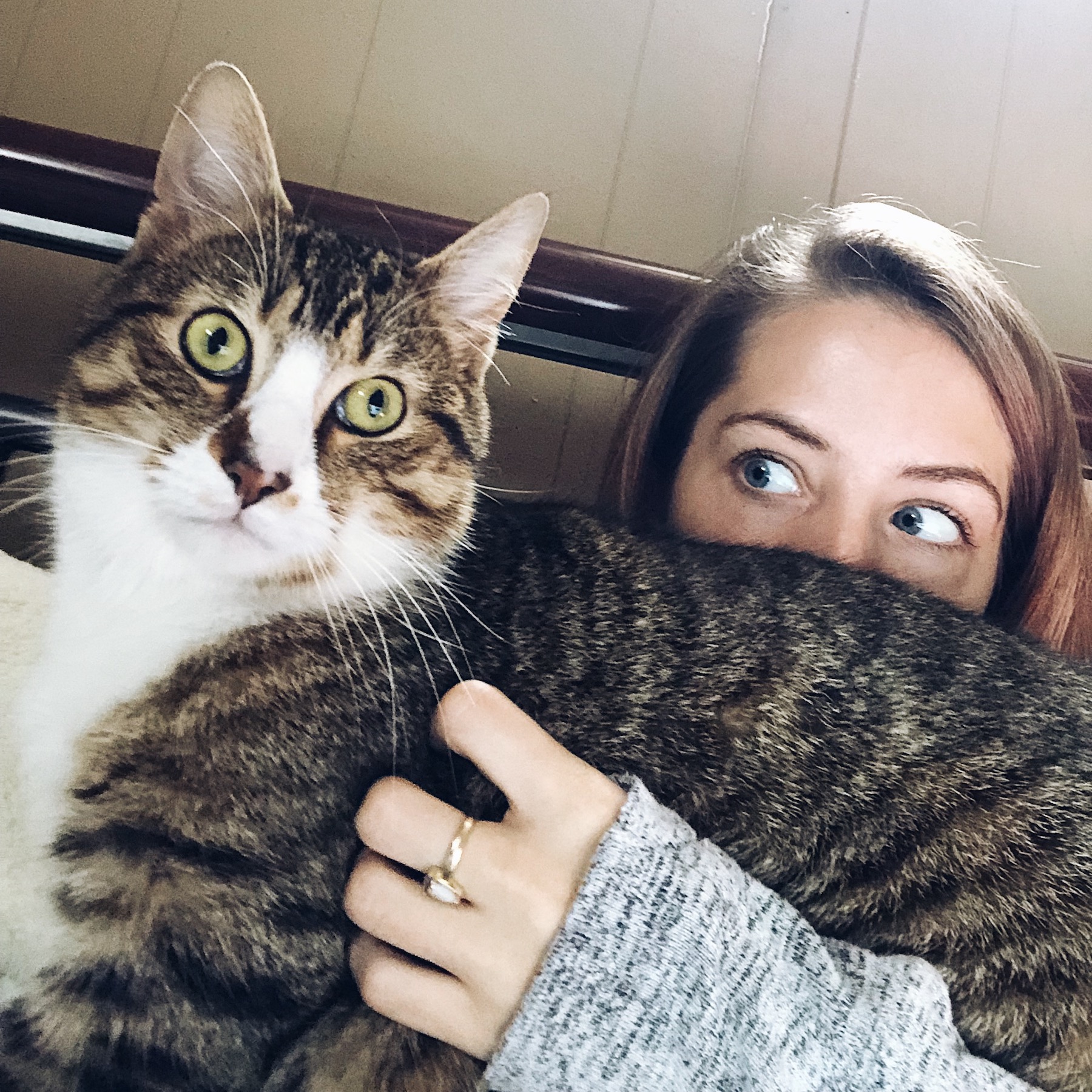 Overnight Pet Care Alexandria, VA Paw Inclusive