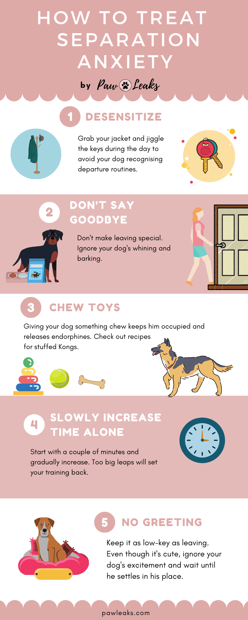 How To Stop My Dog From Separation Anxiety