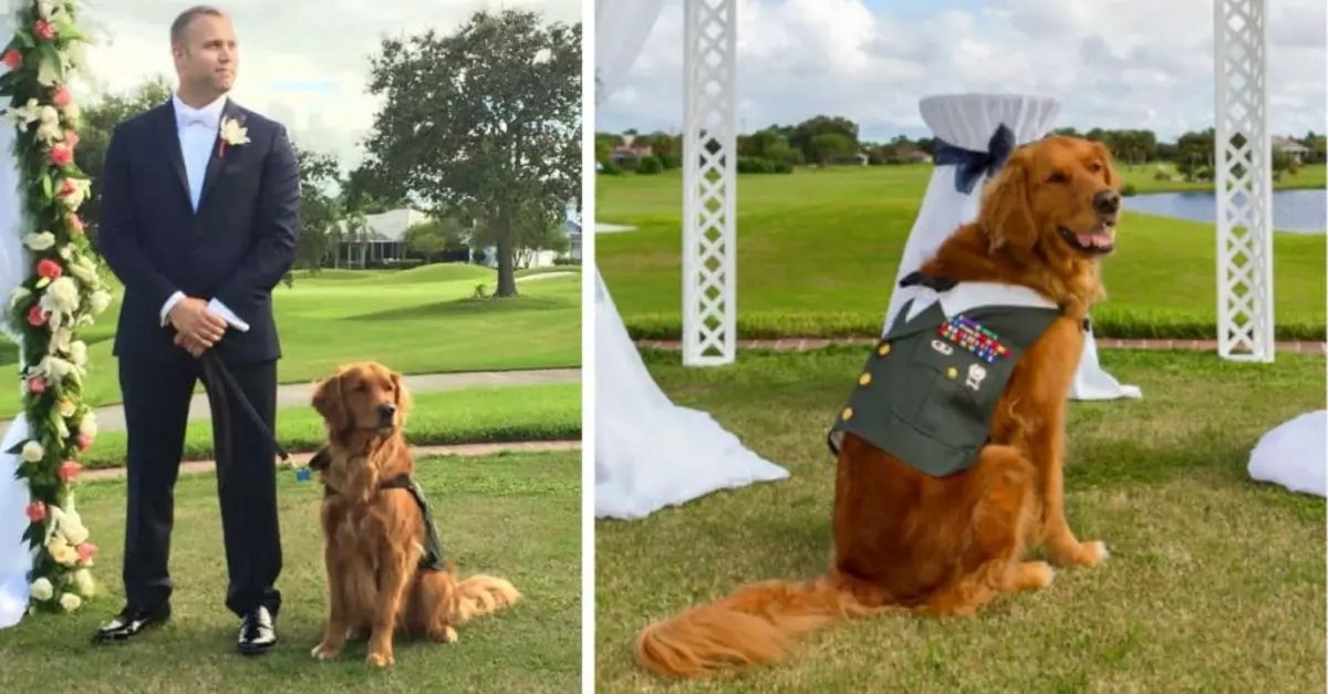 A wounded veteran chose his loyal service dog to be the best man at his
