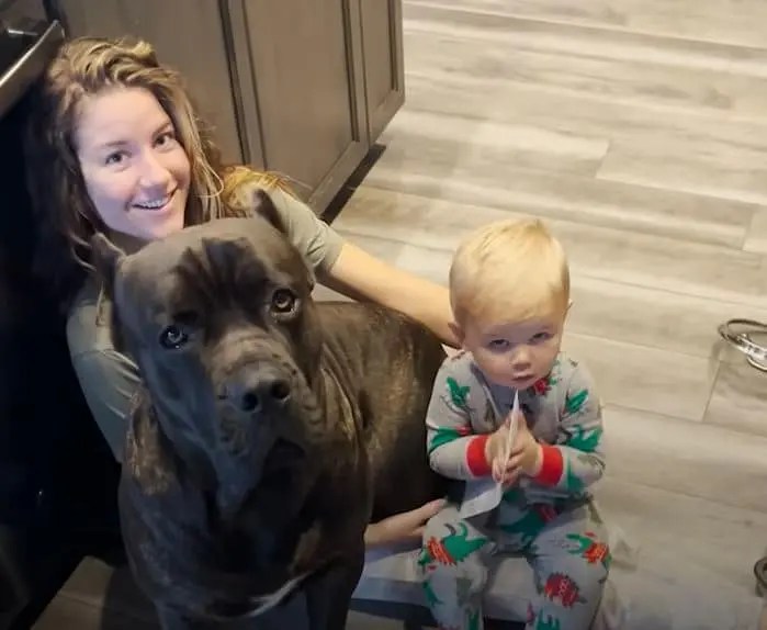 Baby Grows Up With A 125Pound Dog By His Side
