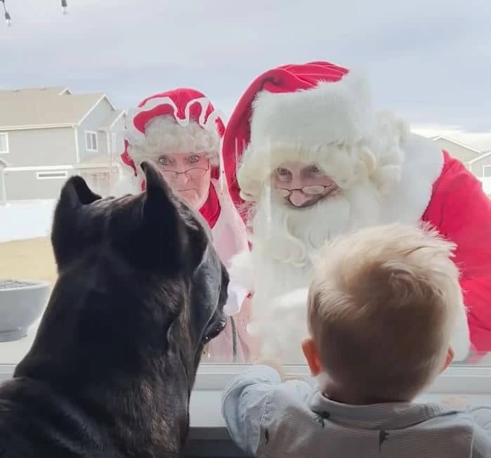 Baby Grows Up With A 125Pound Dog By His Side
