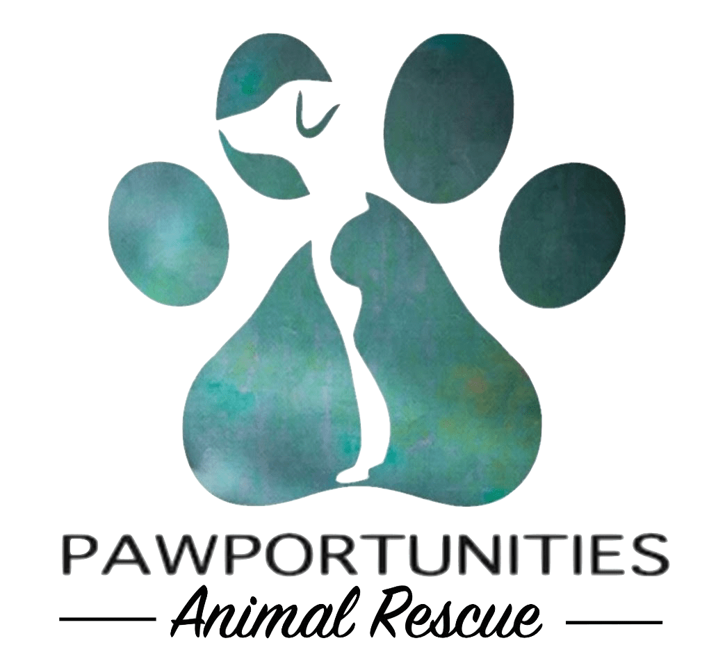 Volunteer SignUp Pawportunities