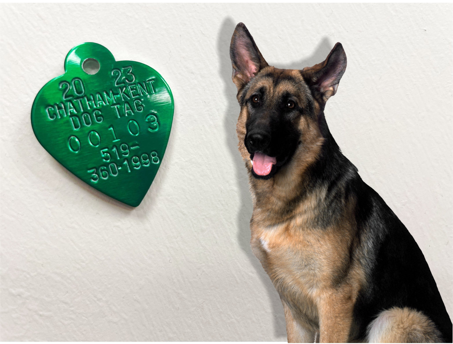 2024 Dog Tag For dogs who are Spayed or Neutered PAW Rescue