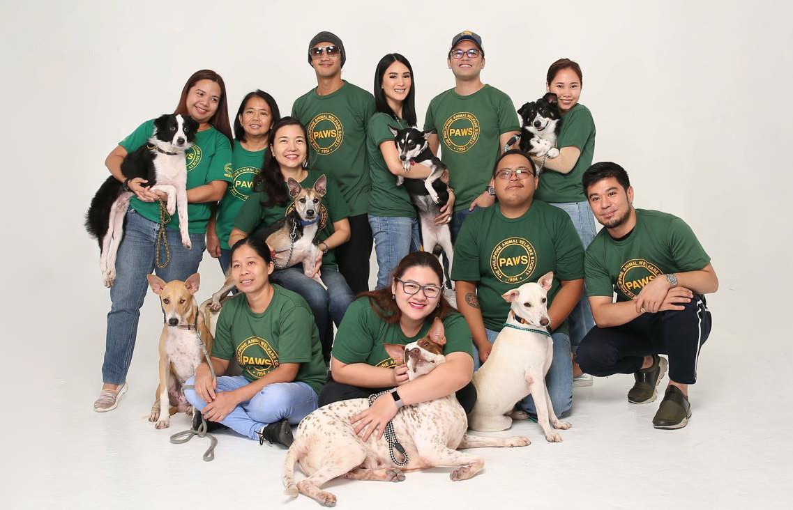 How Can I Adopt A Dog From Paws Philippines