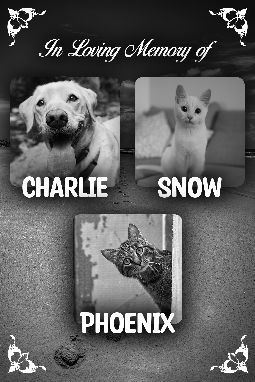 Pet Memorial Wall • The Philippine Animal Welfare Society