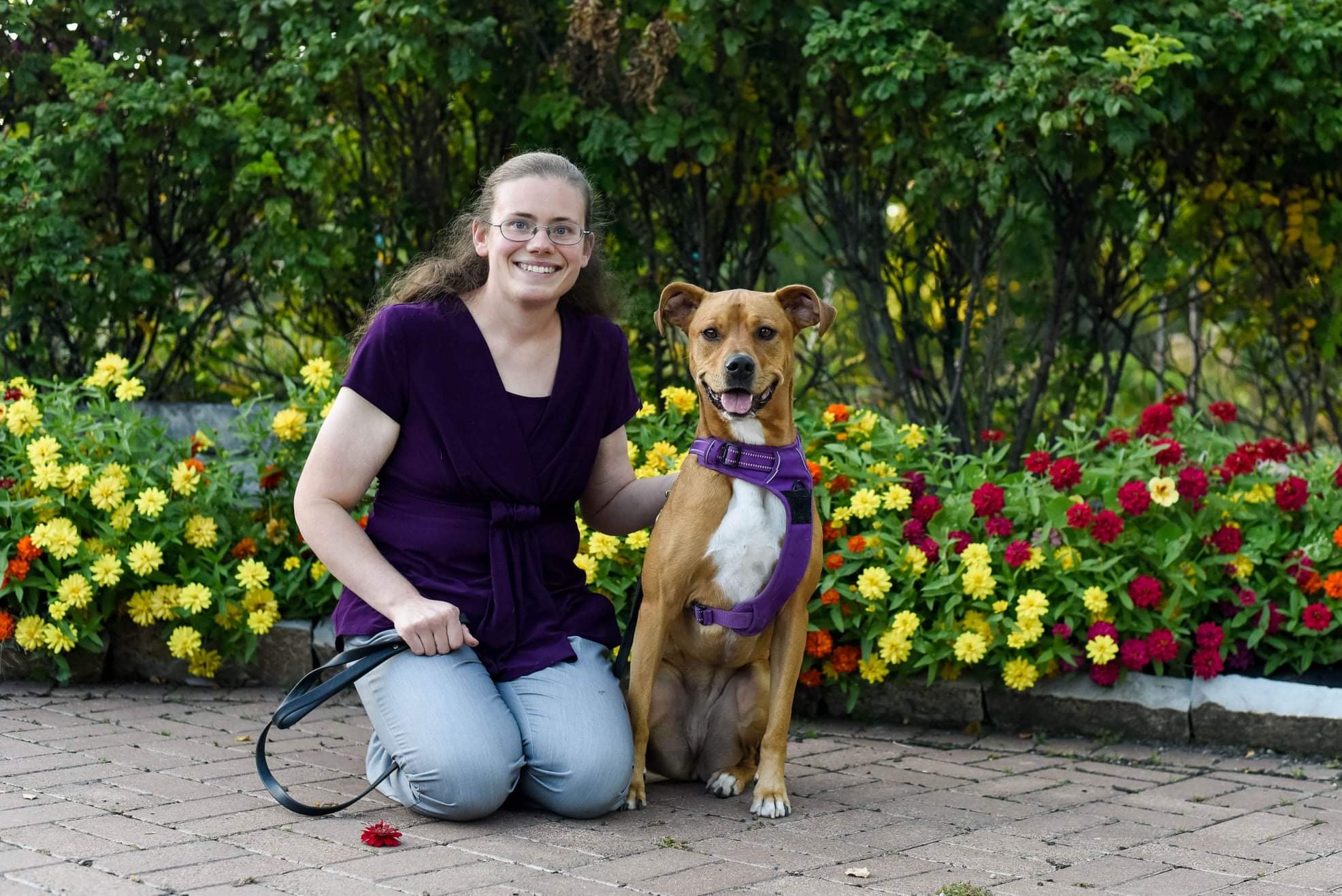 Sharon Ma A Remarkable Journey To Success Inspiring Millions