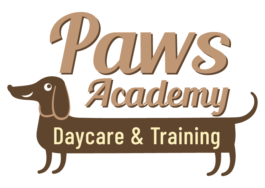 Paws Academy Doggy Daycare & Training Hampton