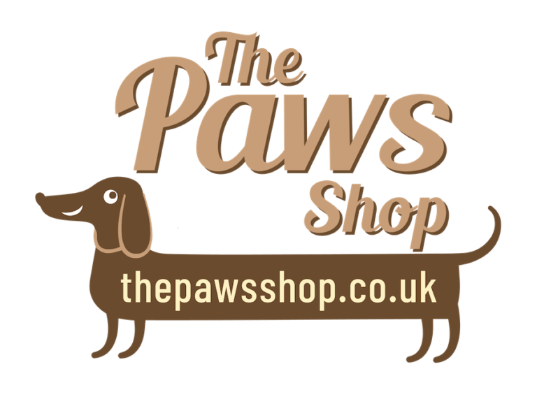 Paws Academy Doggy Daycare & Training Hampton