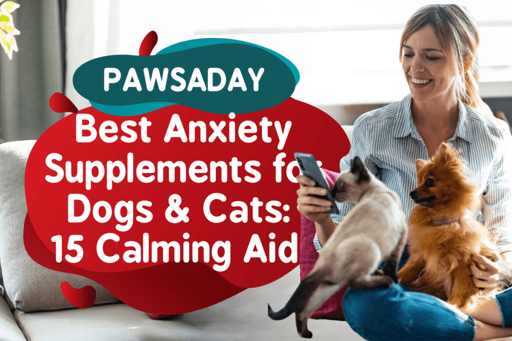 Best Anxiety Supplements for Dogs and Cats 15 Calming Aids