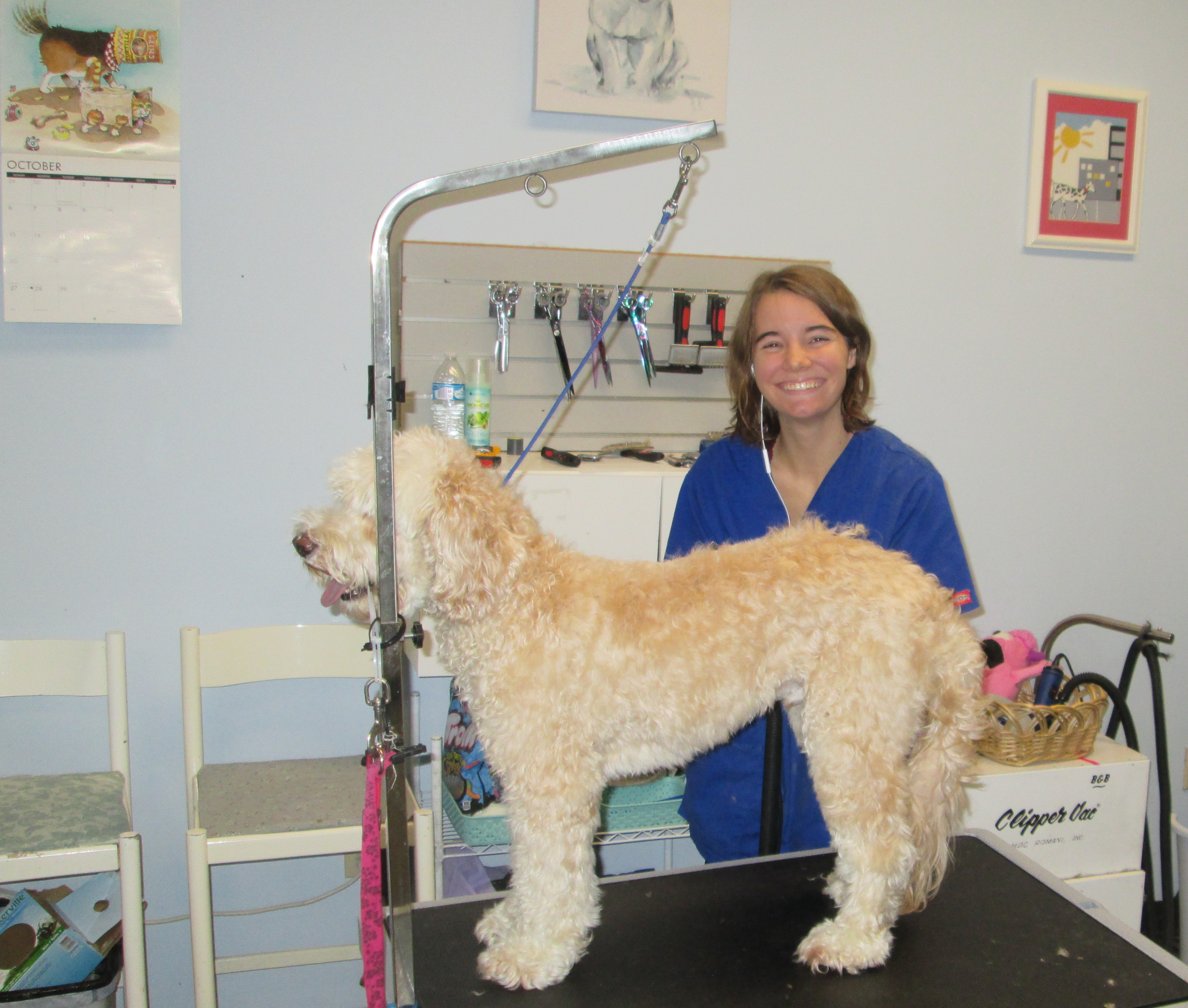 Paws & Claws Grooming Richmond, VA