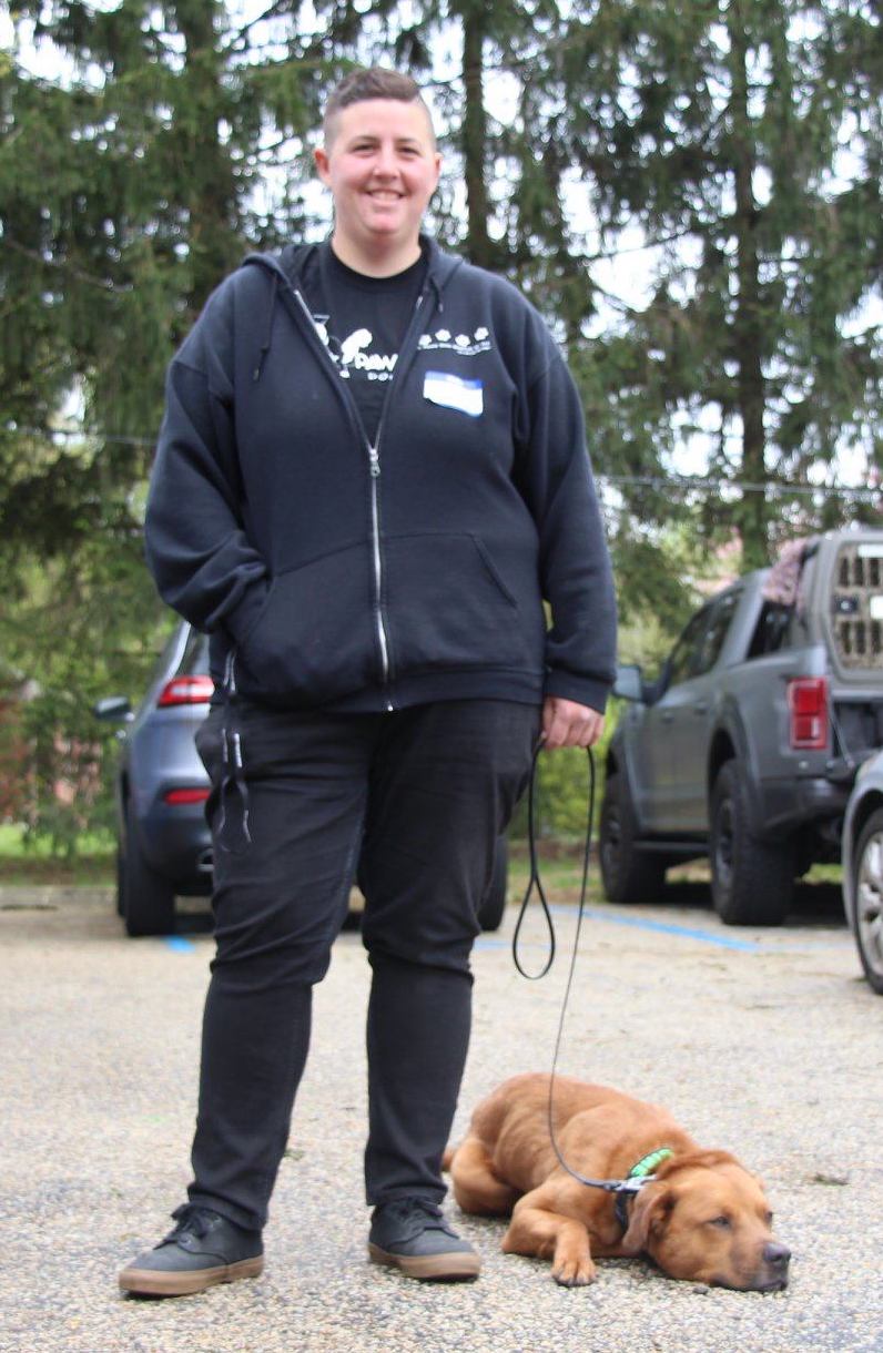 sirei2 South Jersey Dog Training Behavior & Rehabilitation