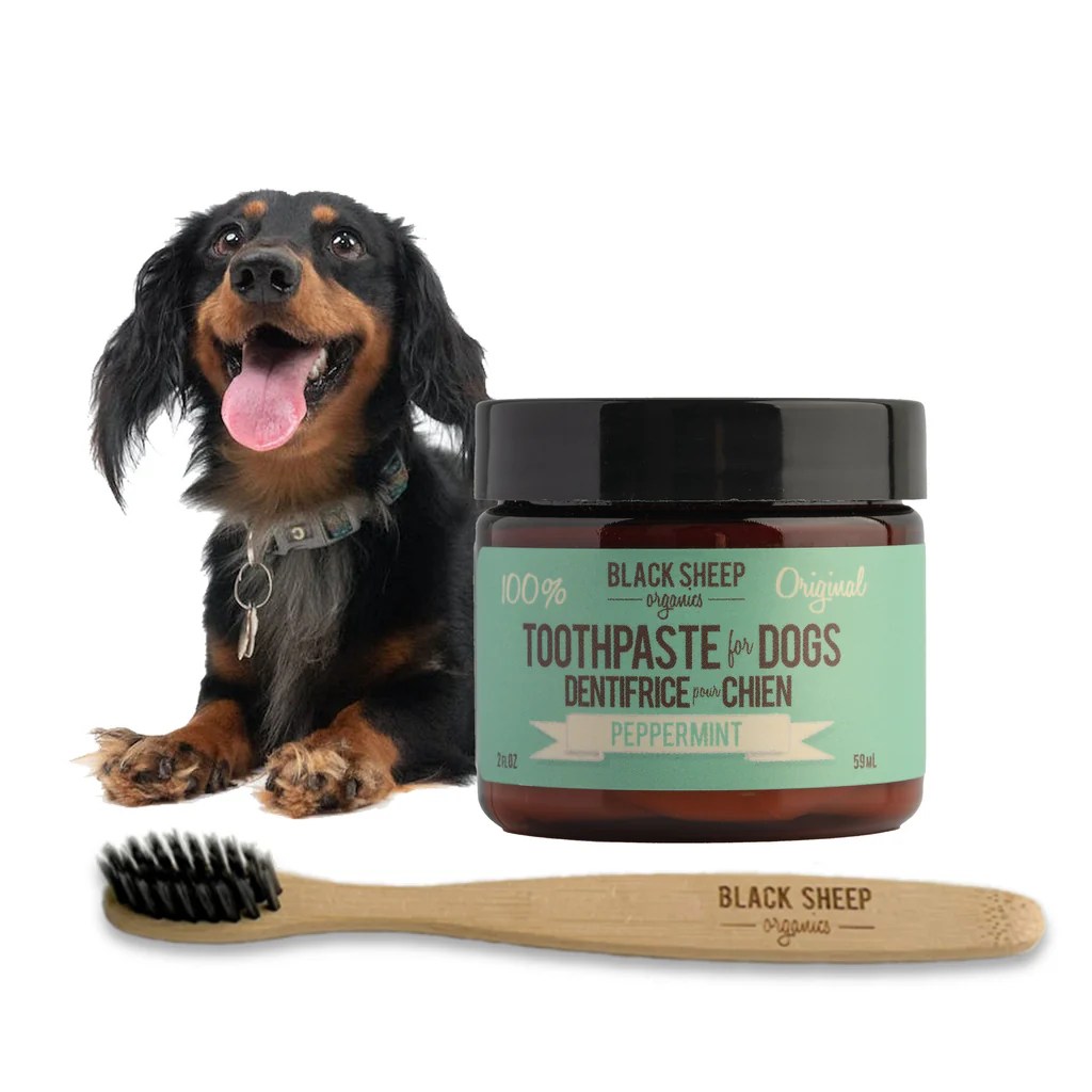 Peppermint Organic Toothpaste and Bamboo Toothbrush for dogs Paws and
