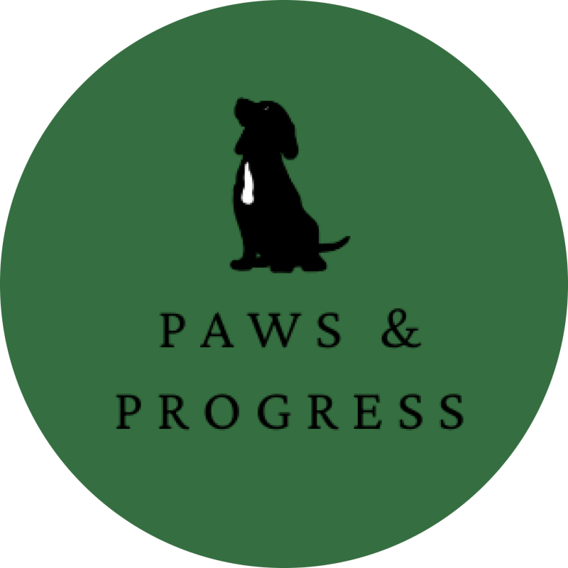 The Benefits of Using Positive Reinforcement in Dog Training Dog