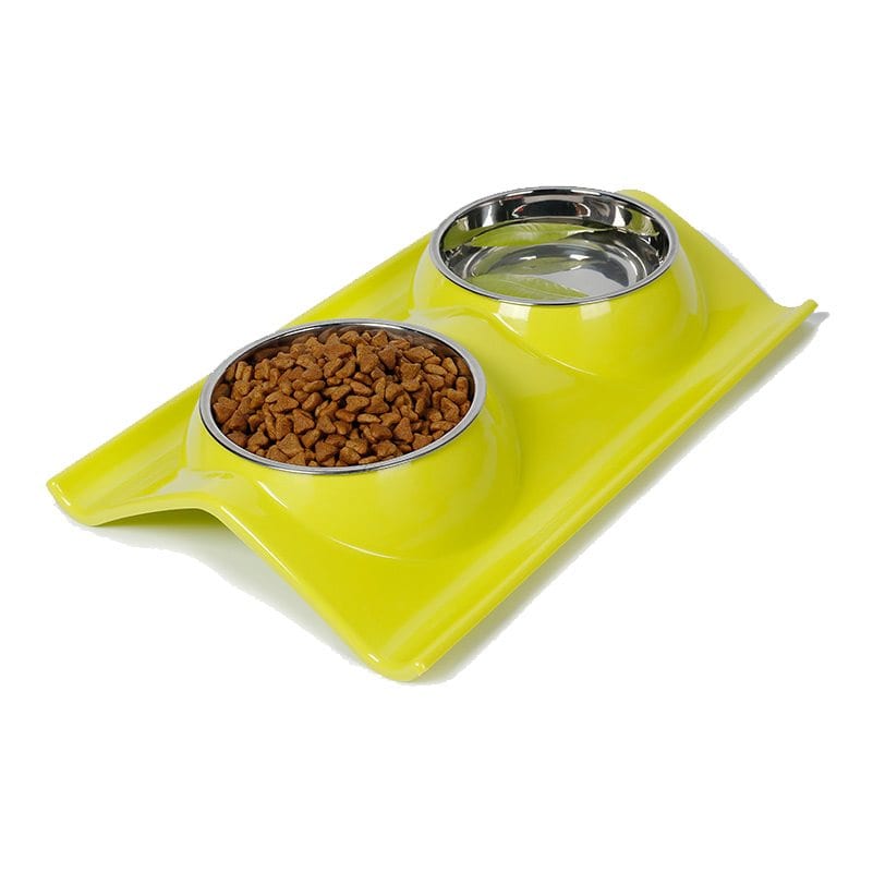 Double Stainless Steel Dog Bowls for Food and Water Paws and Tails