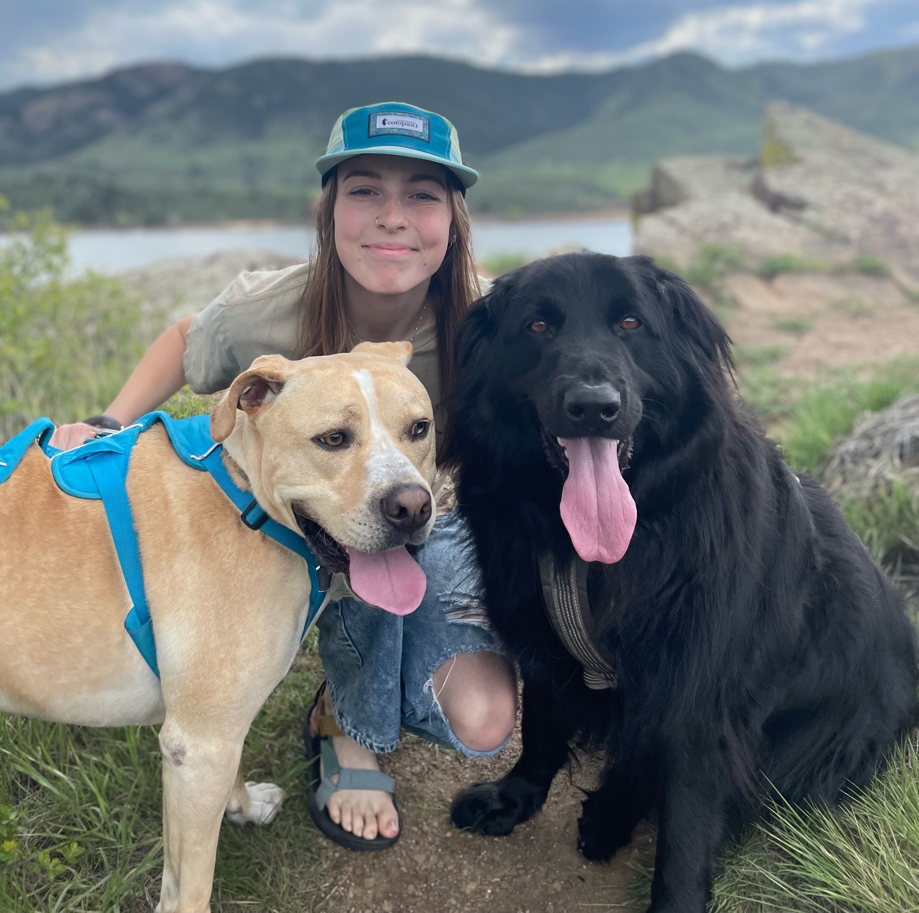Our Team Pet Sitters and Dog Walkers Fort Collins PH