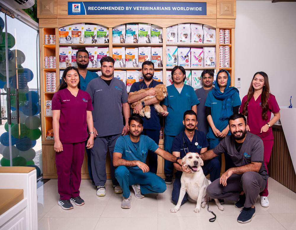 Veterinary Clinic in Motor City, Dubai Exotic Animal Care in Dubai