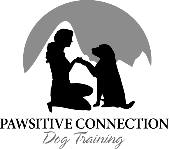 Dog Trainer Spokane Pawsitive Connection Dog Training