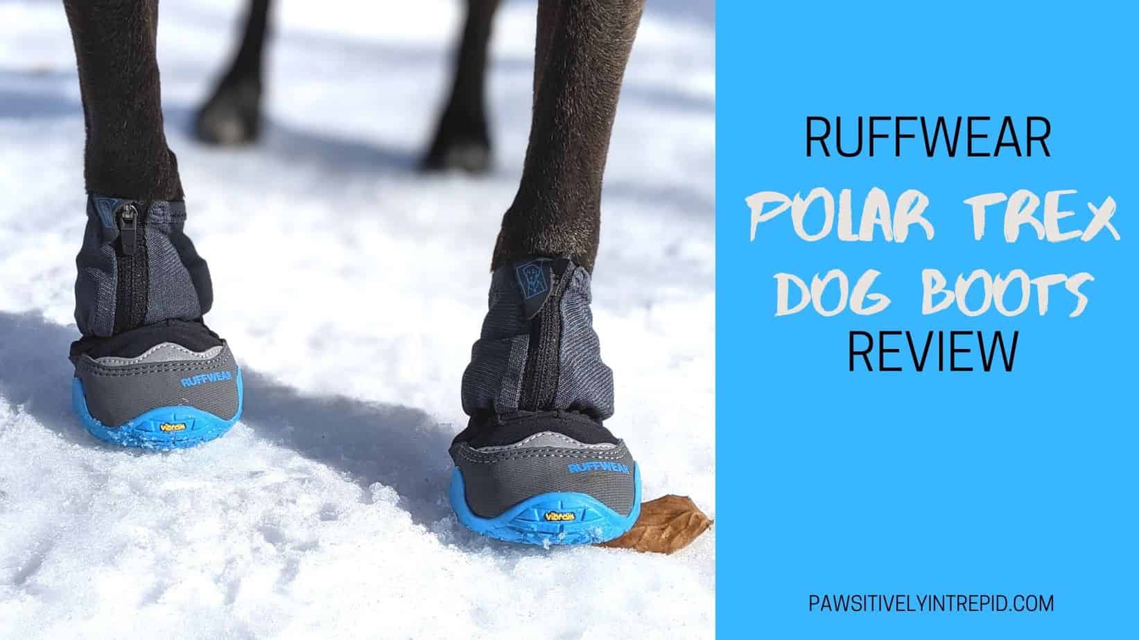 Ruffwear Polar Trex Dog Boots Review Pawsitively Intrepid