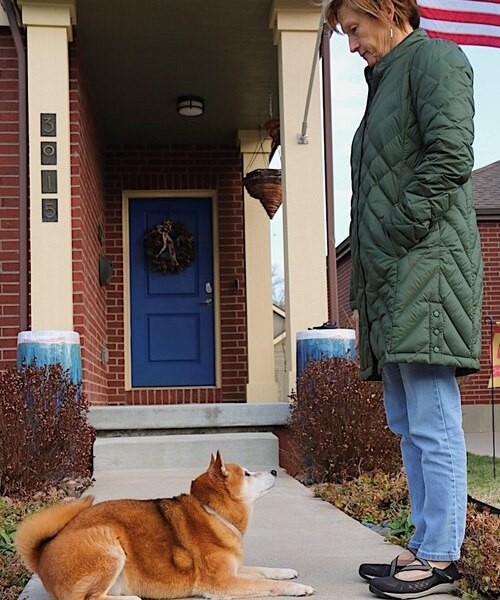 Pawsitively Polite Dog Training Kansas City