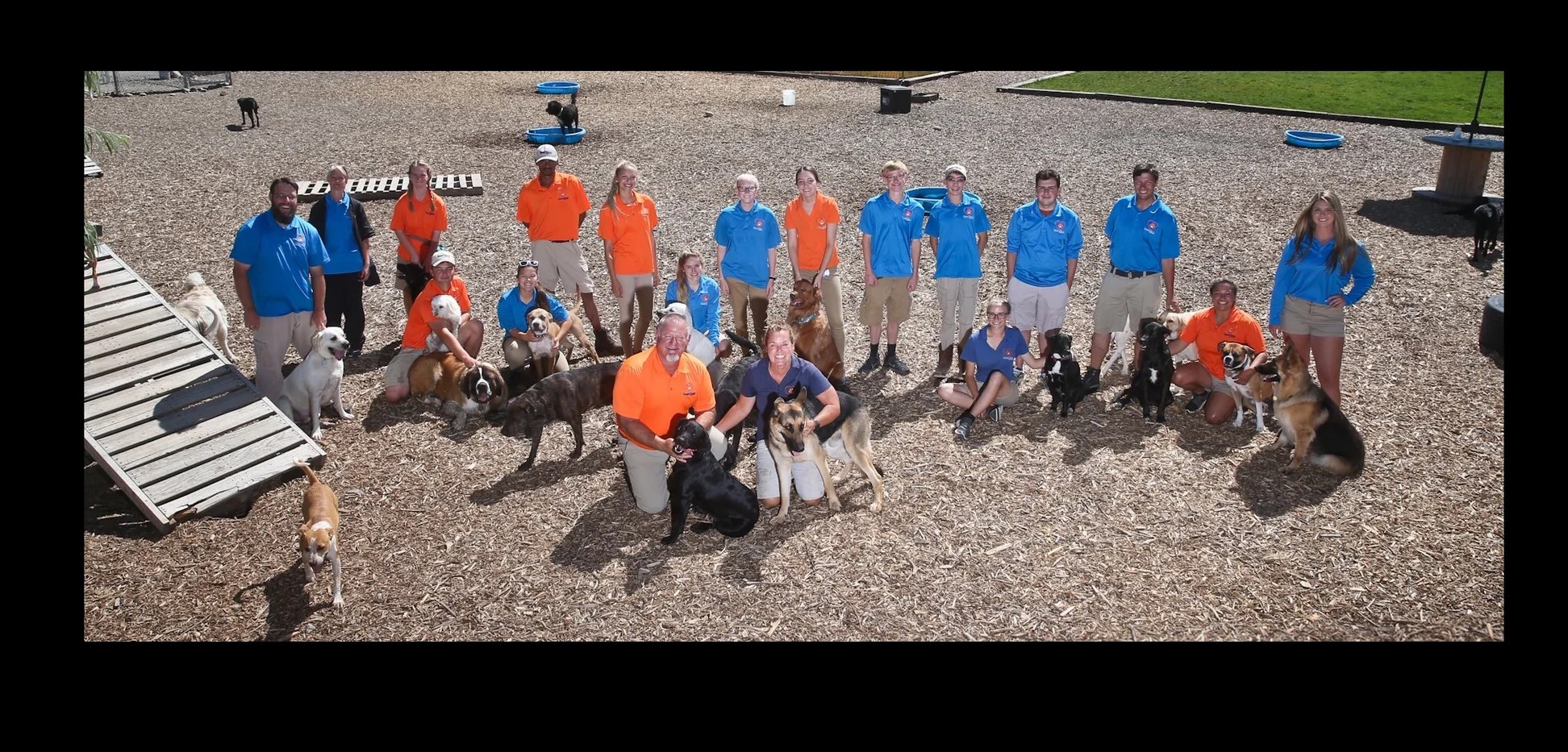 Paws & Claws Pet Resort and Spa