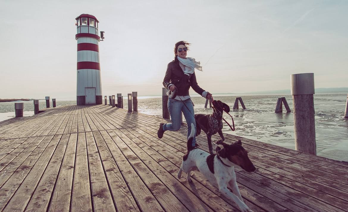 Guide Top 5 Dog Friendly Cities