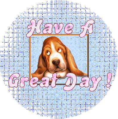 Dog Wisdom Paws 'N' ReflectPaws 'N' Reflect