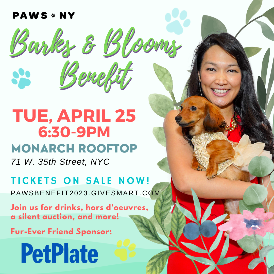 PAWS NY Returns to Monarch Rooftop for 2023 Barks & Blooms Benefit
