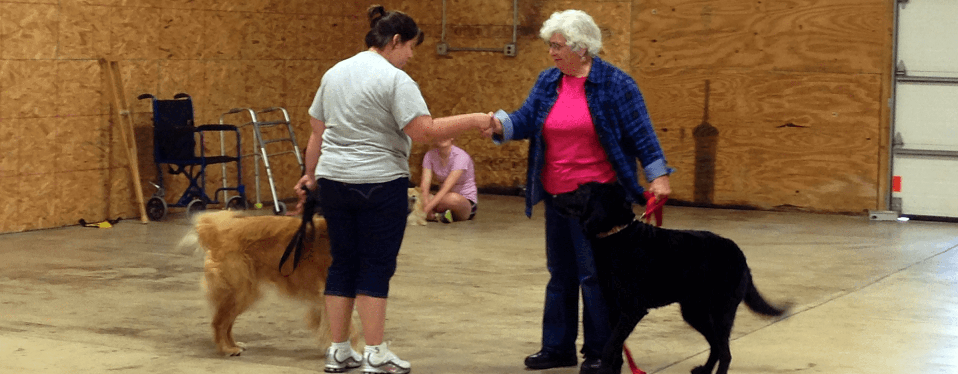 Therapy Dog Training Class Course Content