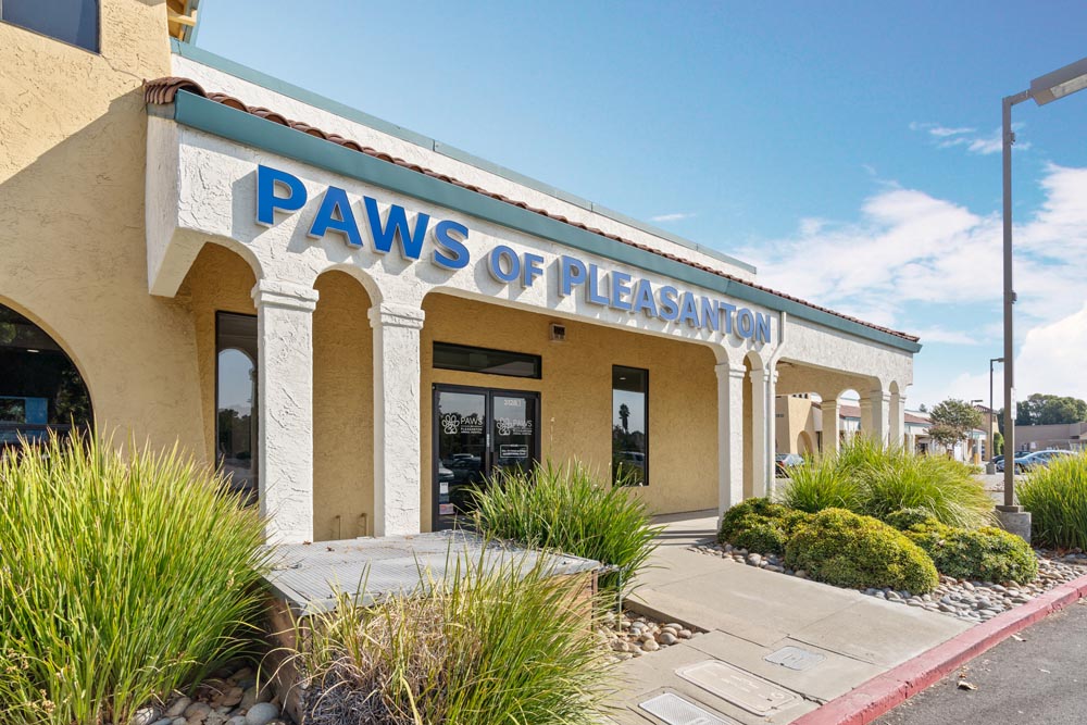 Hospital Tour Paws of Pleasanton Animal Hospital
