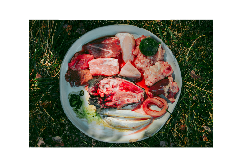 Affiliate Login Paws of Prey