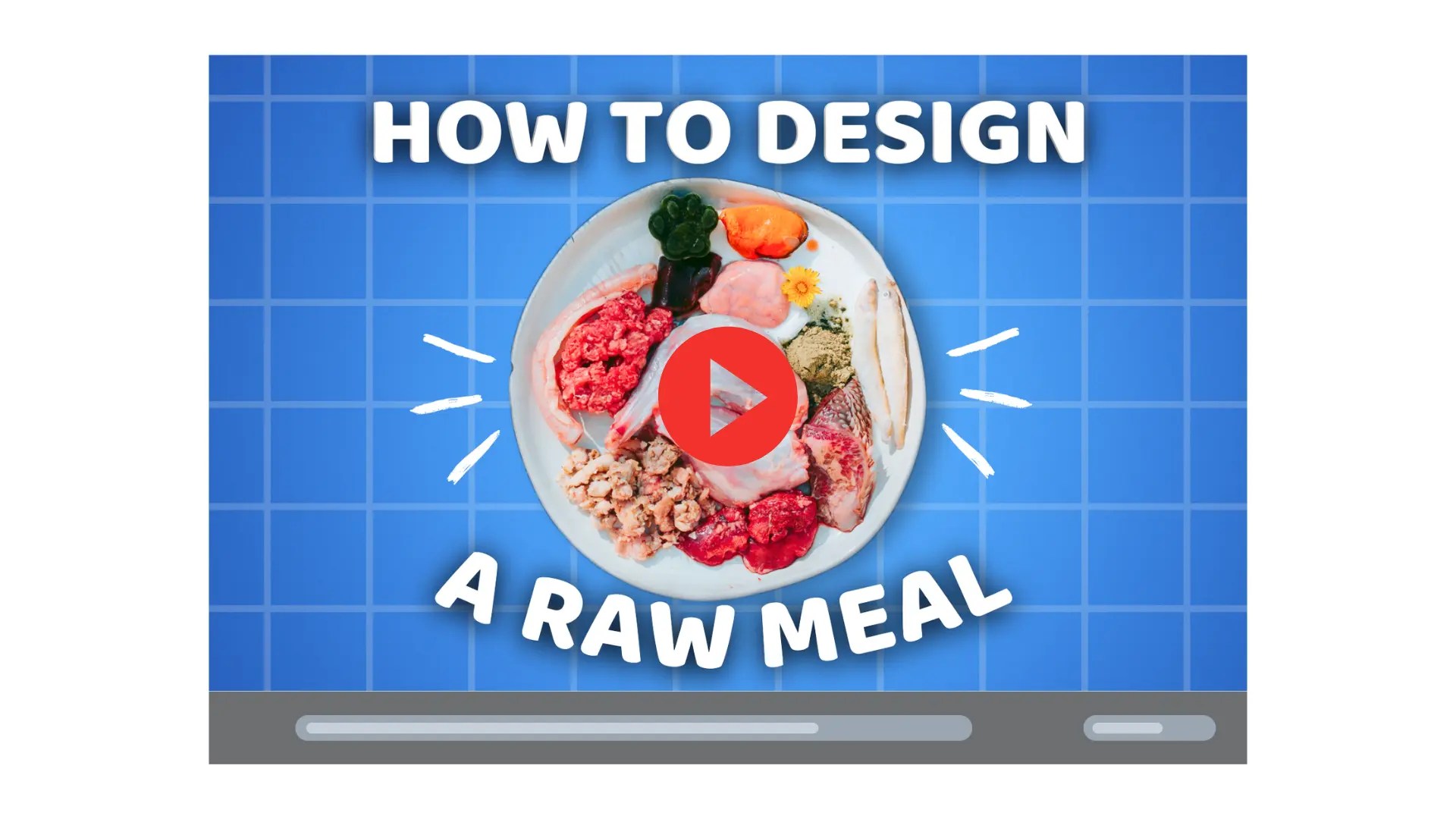 Raw Feeding Starter Kit discount shorter page Paws of Prey