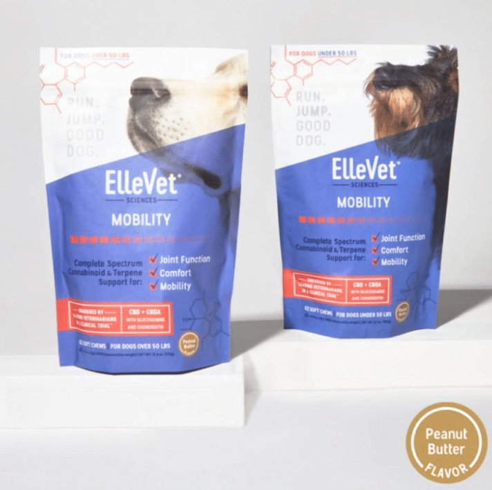 What’s The Best Joint Supplement For Dogs? Guide]