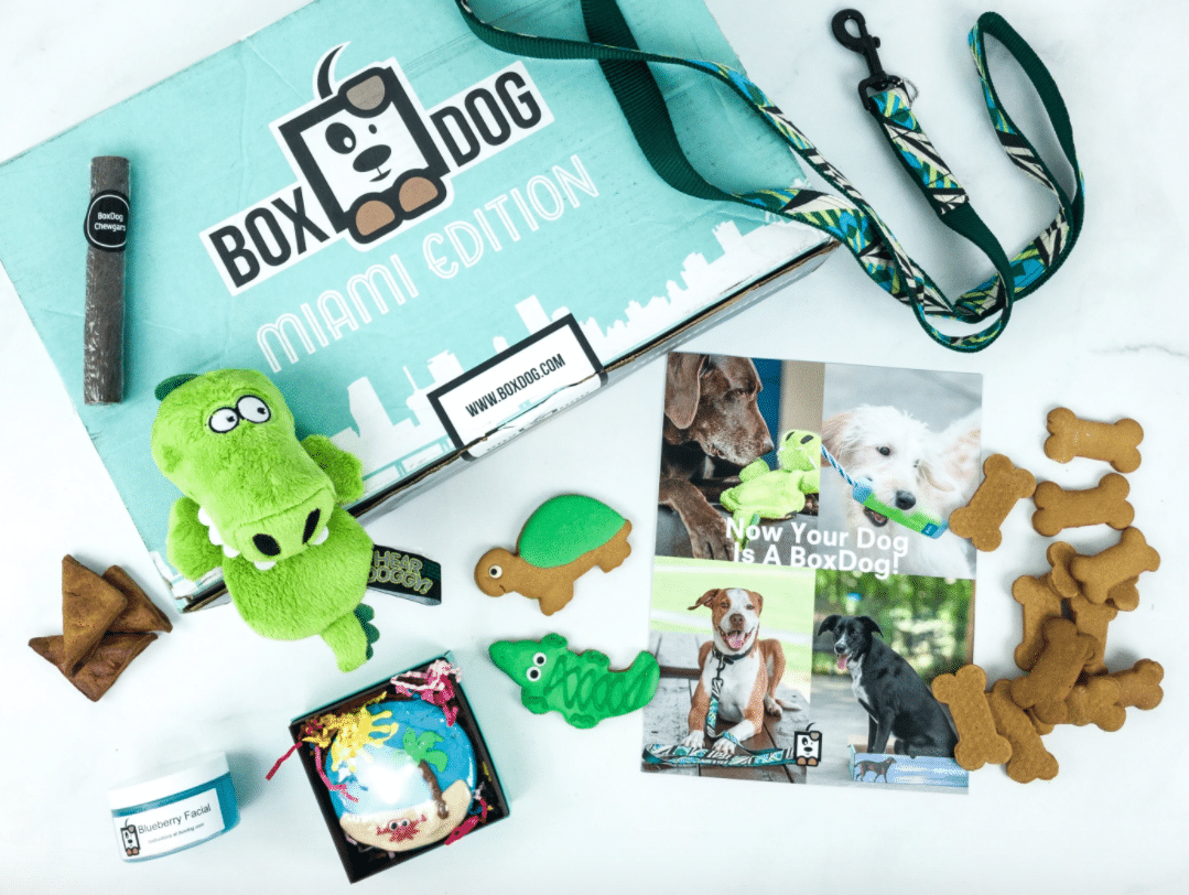 The Pawfect Gift — The Best Dog Subscription Box Choices Of 2024