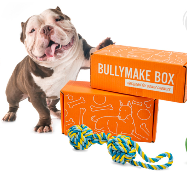 Super Chewer Box Review — Are The Toys Worth It?