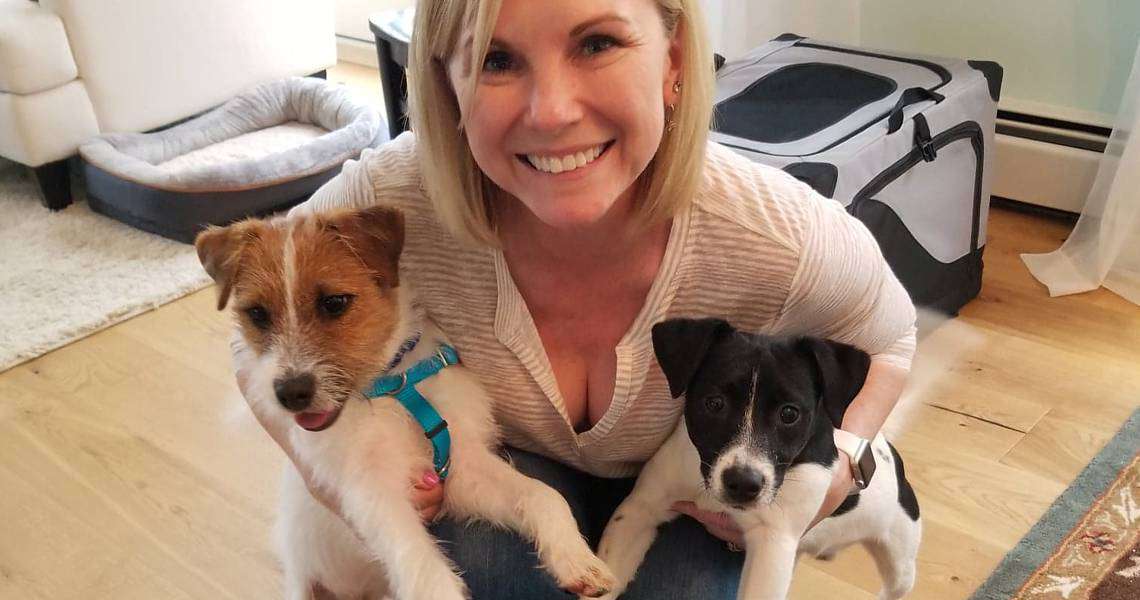 Pawsome Pups Dog Training