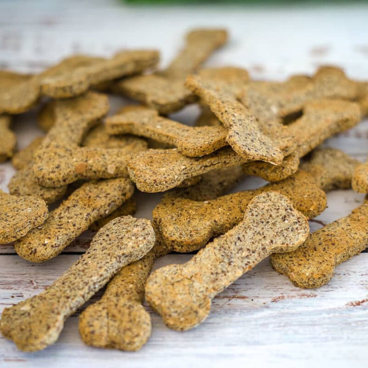 Homemade Tuna Dog Treats Pawsome Recipes