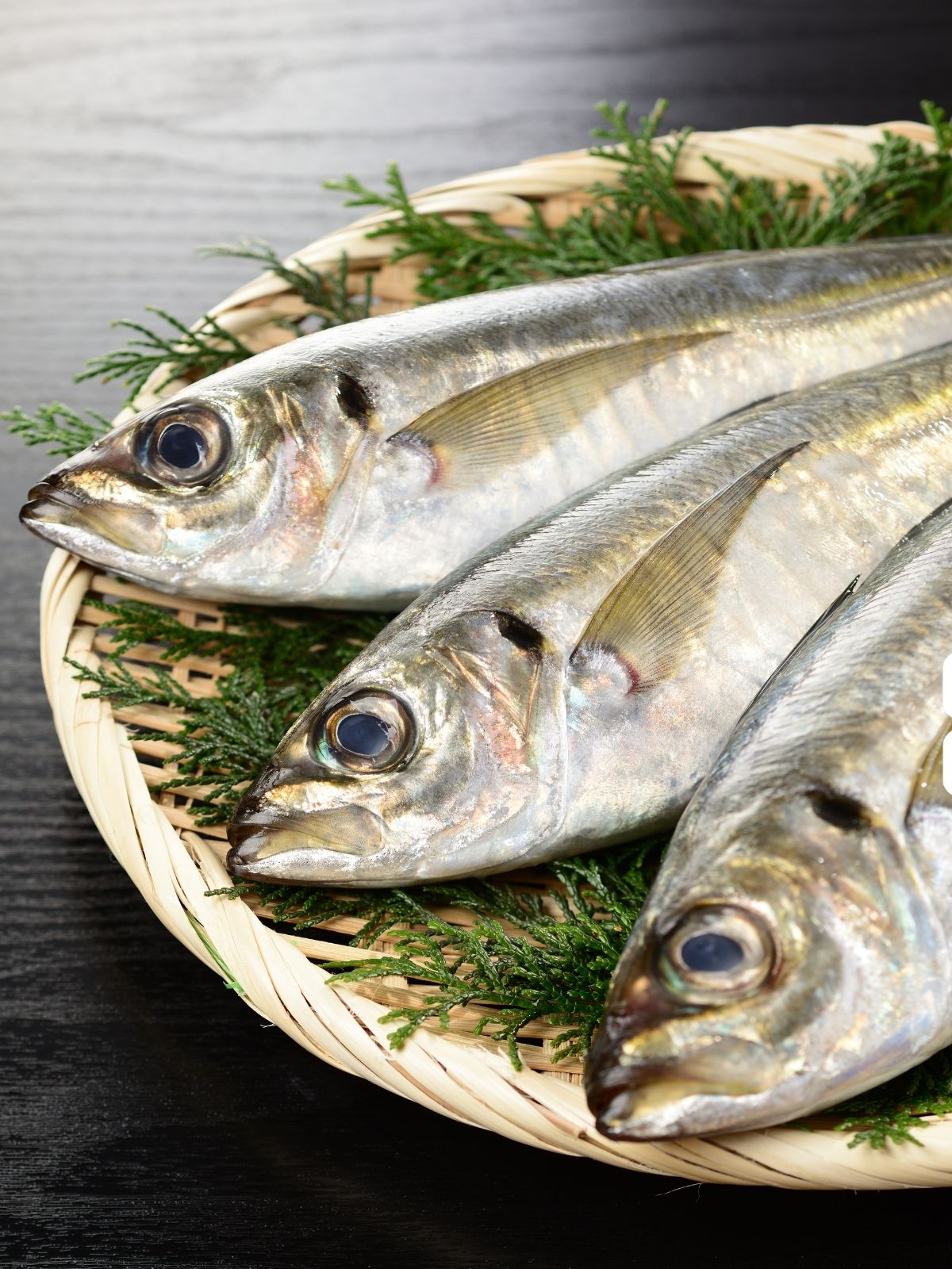 Can Dogs Eat Mackerel? Pawsome Recipes