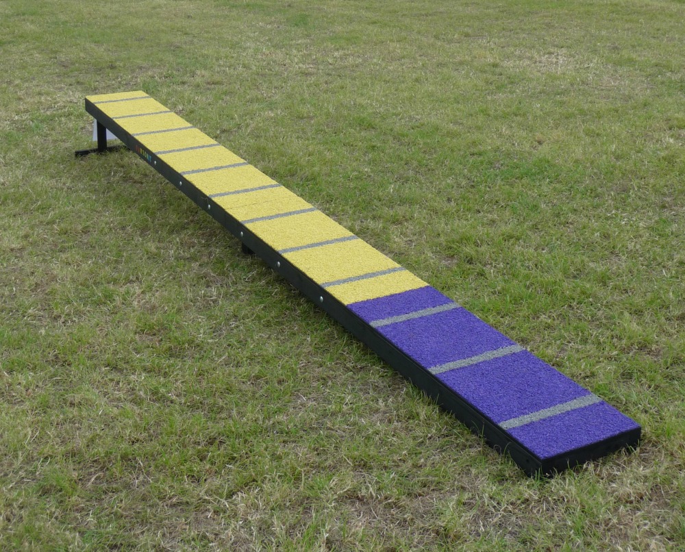 Running Contact Trainer Paws On It