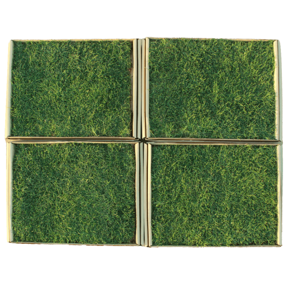 Grass Patch for Extra Large Sized Dogs Real Grass Dog Potty Paws on