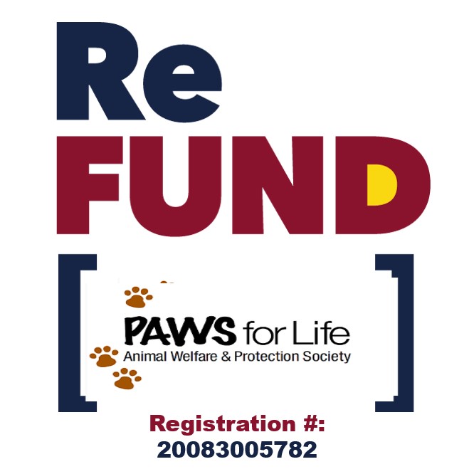 Ways To Give PAWS For Life