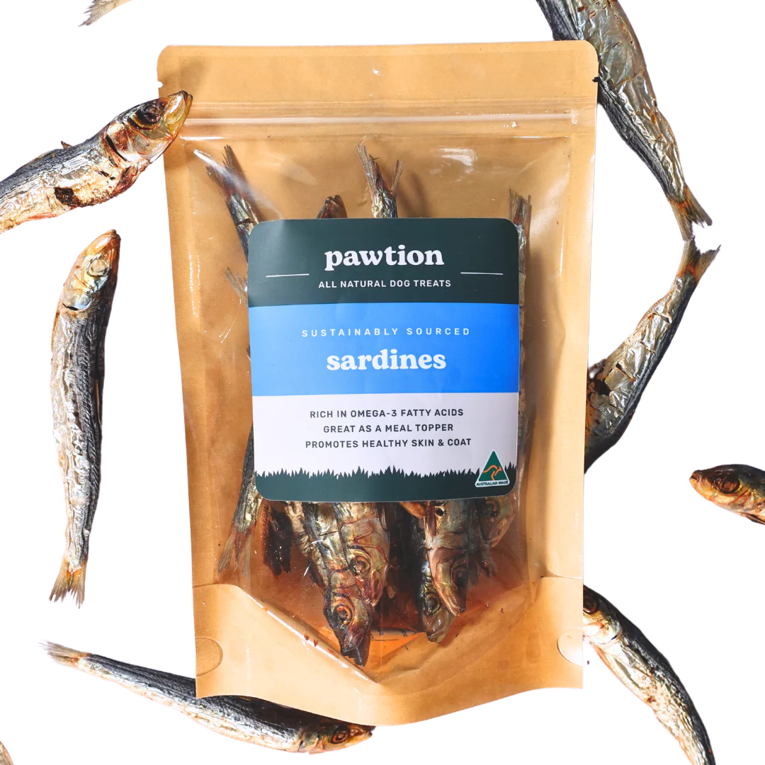 Sardines Fish 100 Natural Single Ingredient Dog Treats Pawtion