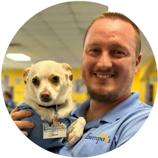 OUR PACK Pawtropolis